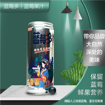蓝笑蓝莓果汁礼盒（250ml）