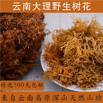 云南大理特产野生树花菜树皮树花树胡子凉拌菜山珍干货500克包邮