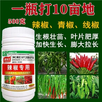 菜椒青椒朝天椒线椒辣椒专用叶面肥腐殖酸生根剂促生长膨大素拉直