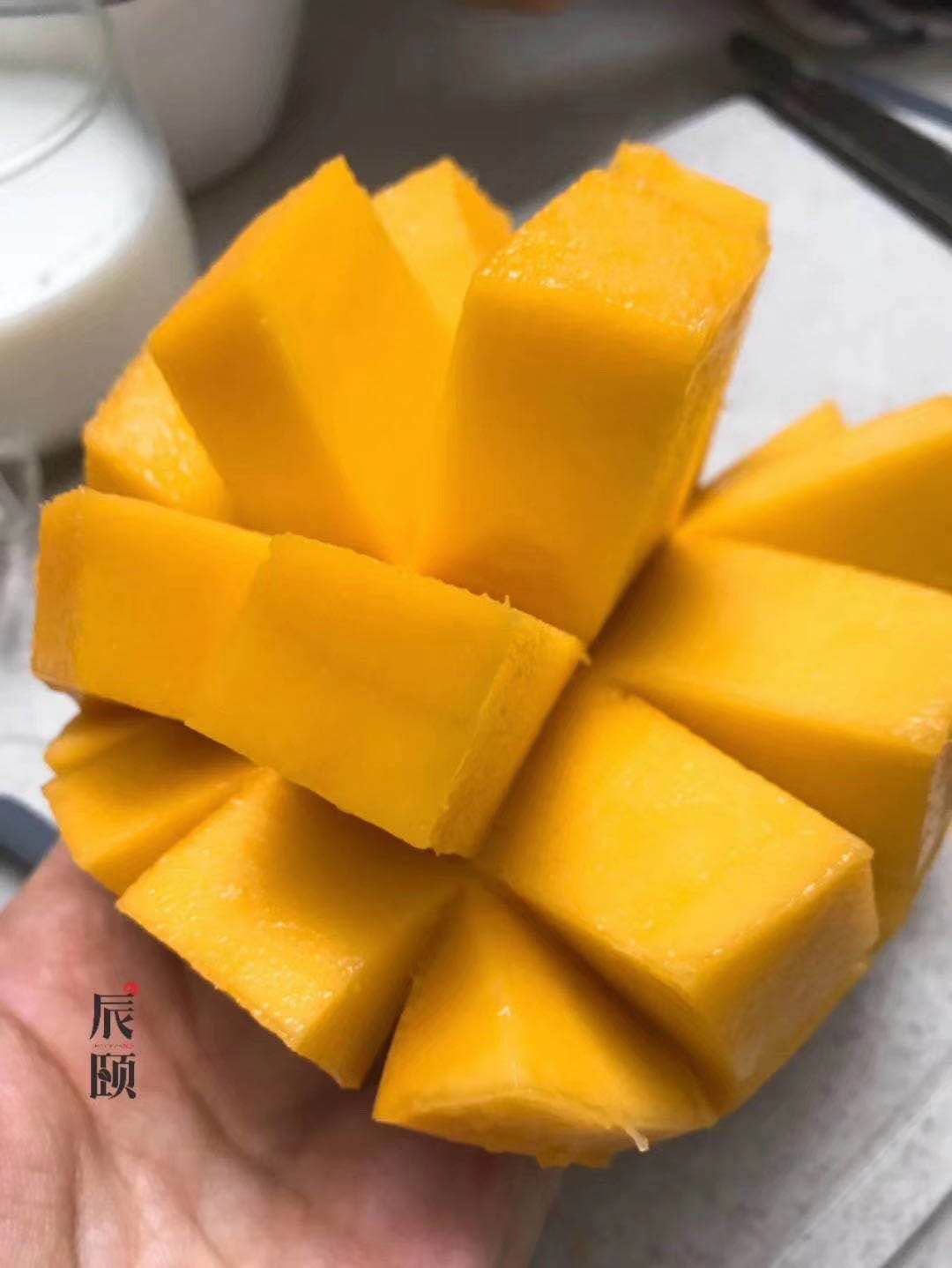越南澳芒