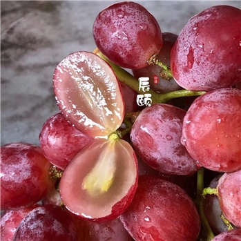 云南高原红提